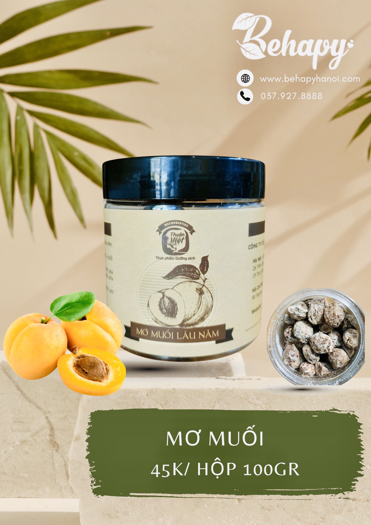 MƠ MUỐI LÂU NĂM 100gr
