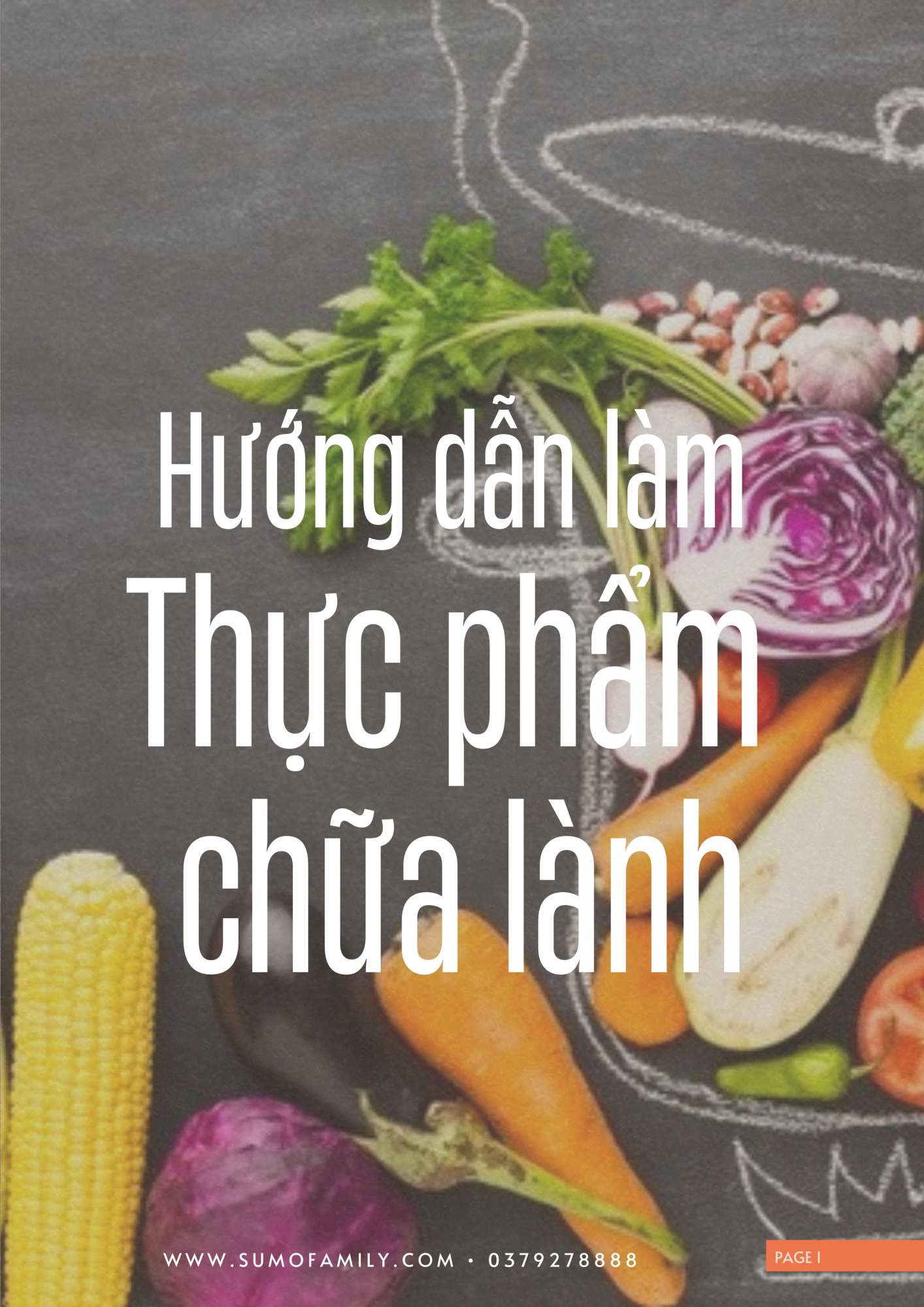 Khóa học  Thực phẩm chữa lành